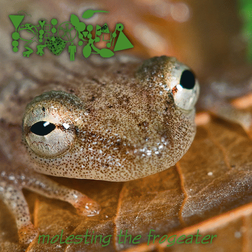Phyllomedusa : Molesting the Frogeater